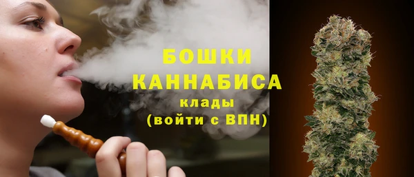 прущий лед Богданович